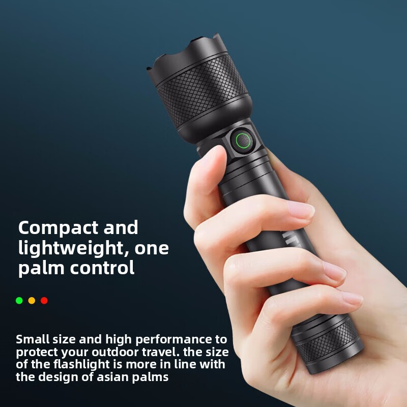 2025 NEW Philips SFL2188 LED A - Outdoor Lighting House ulasan dan harga
